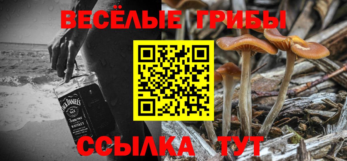 Псилоцибиновые грибы Psilocybe  Галлюциногенные грибы Psilocybe  Вход с VPN  купить закладку  Назарово 